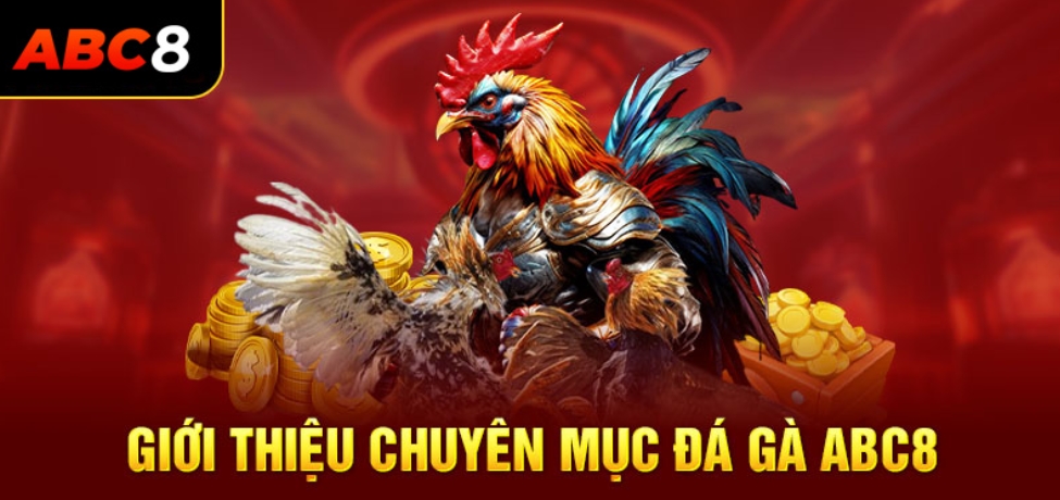 đá gà abc8